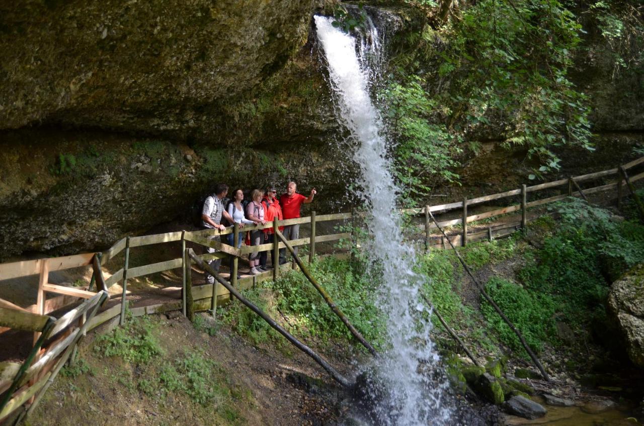Hotel Alpenrose Gut Schlafen & Fruehstuecken شايديغ المظهر الخارجي الصورة